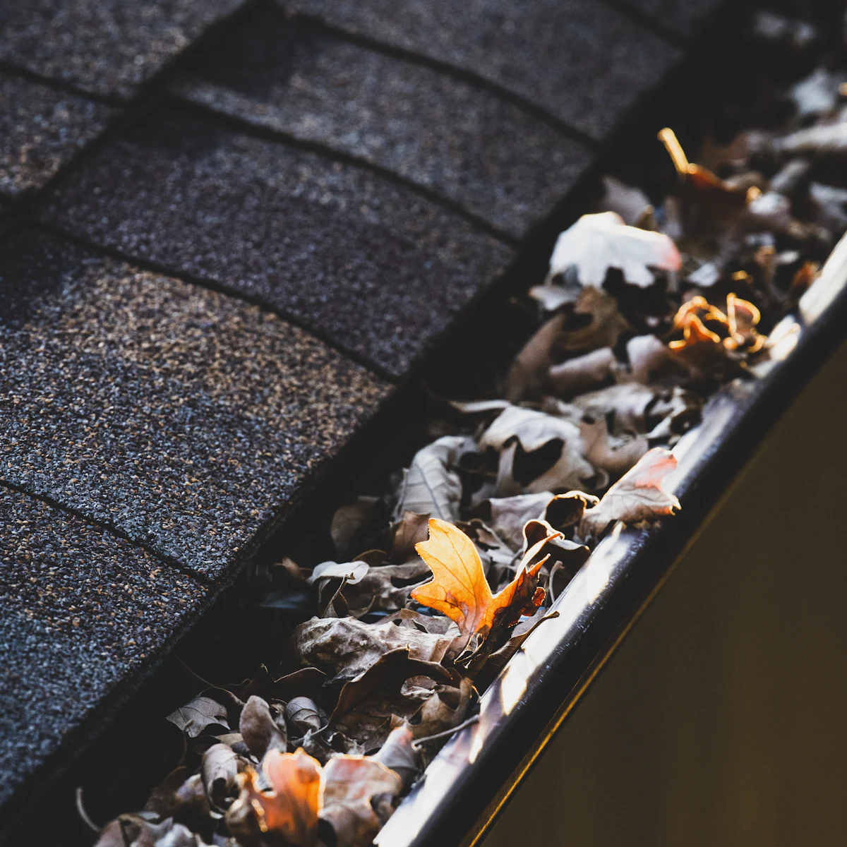 Leaves and debris in a roof gutter