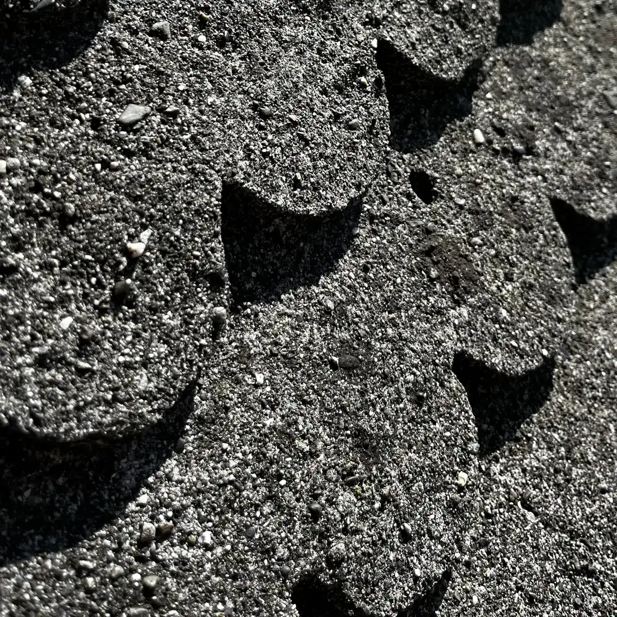 Asphalt shingle surface detail